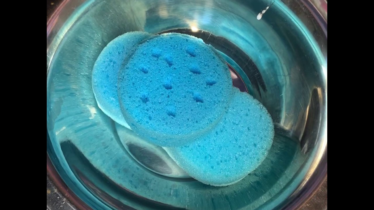 Sponge growing with 70% Alcohol - Esponja crescendo com Álcool 70%