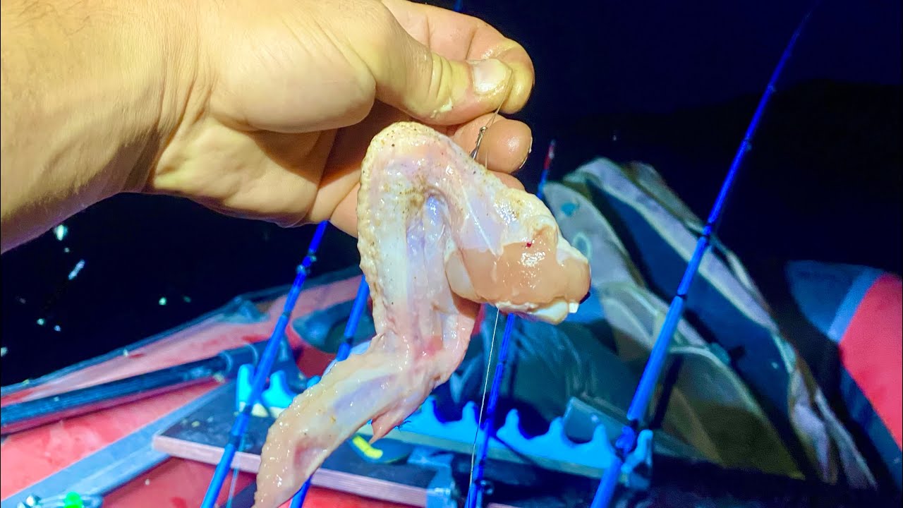 ЗА ТАКУЮ РЫБУ СРАЗУ ПОСАДЯТ ⁉️⁉️рыбалка на Дону ловля сома сазана