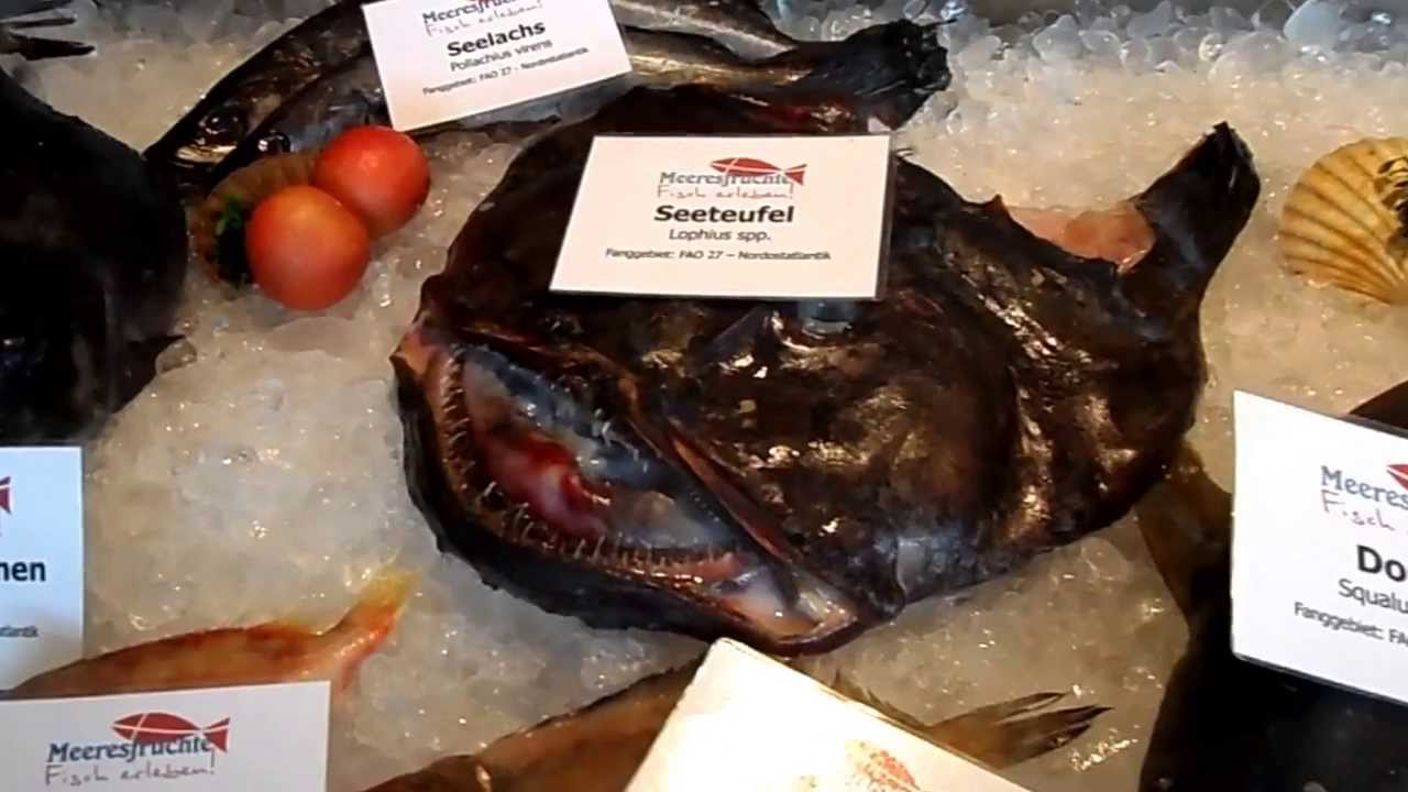 Cuxhaven - Meeresfr&uuml;chte-Fisch erleben...
