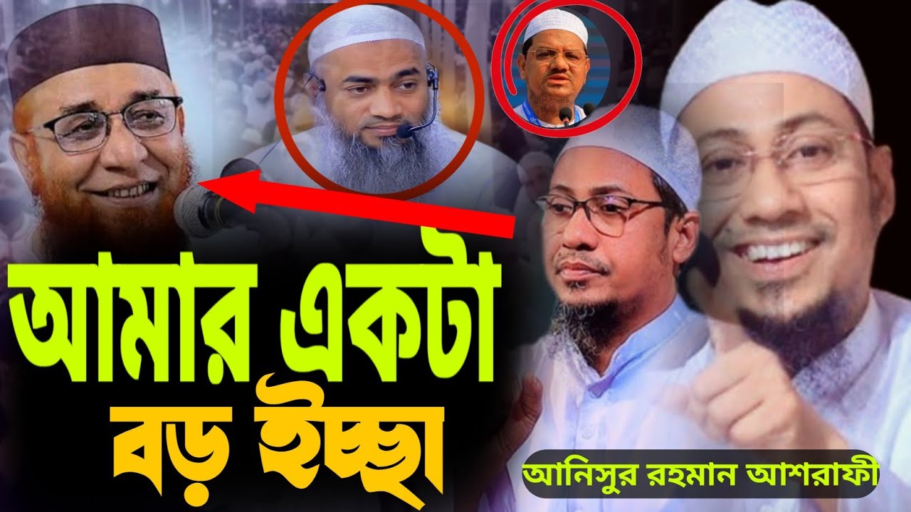  আমার অনেক বড় একটাই ইচ্ছে ‼️আনিসুর রহমান আশরাফী