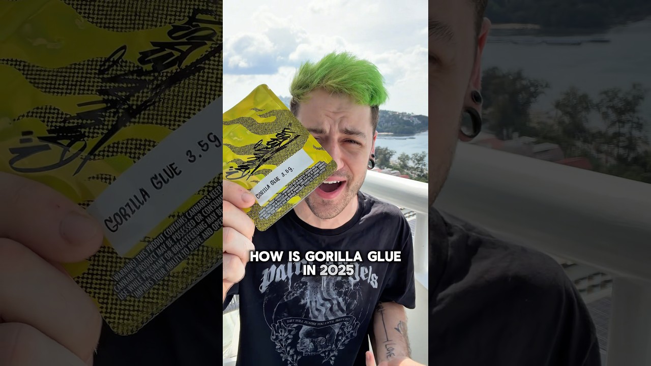 How is Gorilla Glue in 2025?
