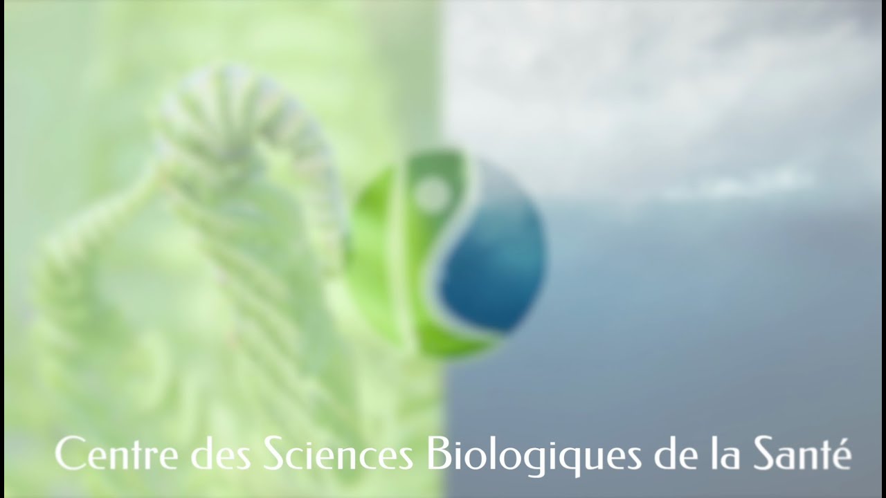 L'eau de mer : Réponses à vos Questions (Partie 1)
