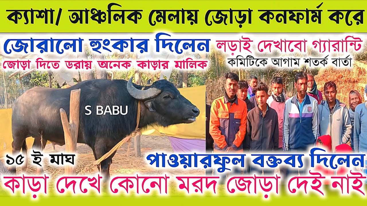 ক্যাশা/আঞ্চলিক মেলায় জোড়া কনফার্ম করে👉জোরালো হুংকার দিলেন✴️কাড়া দেখে কোন মরদ জোড়া দেয় নাই