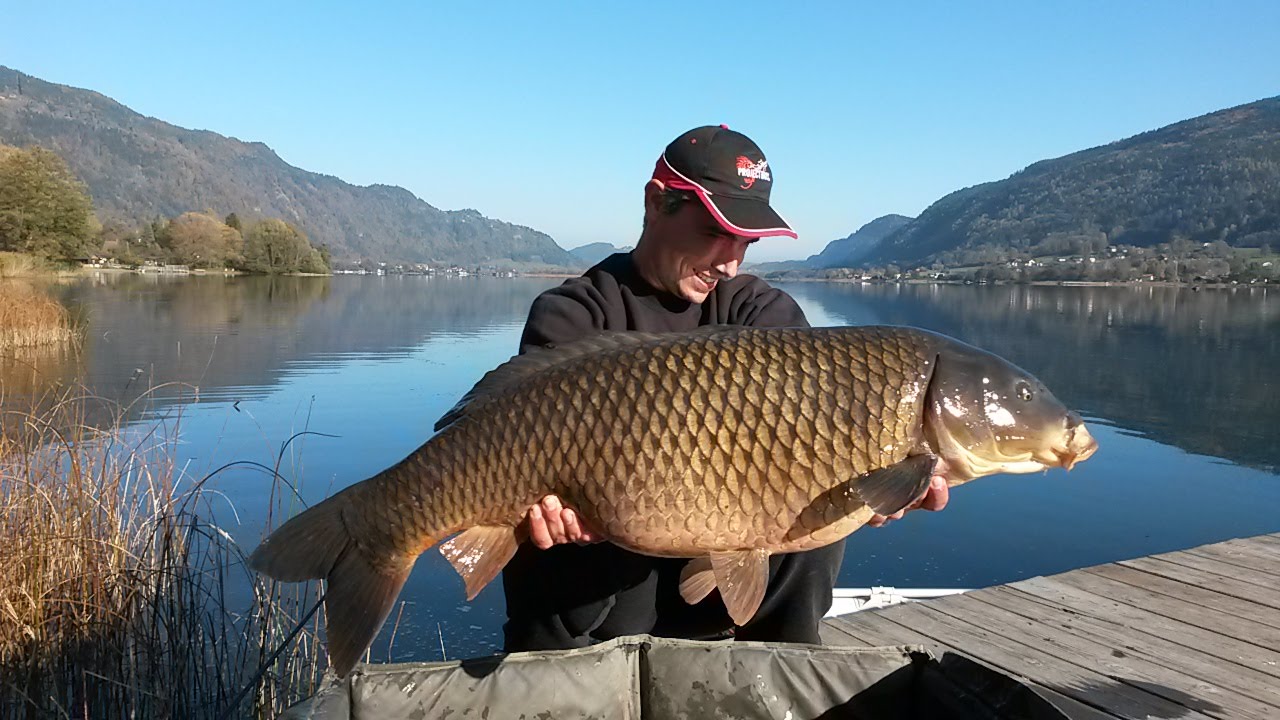 Ossiachersee carpfishing