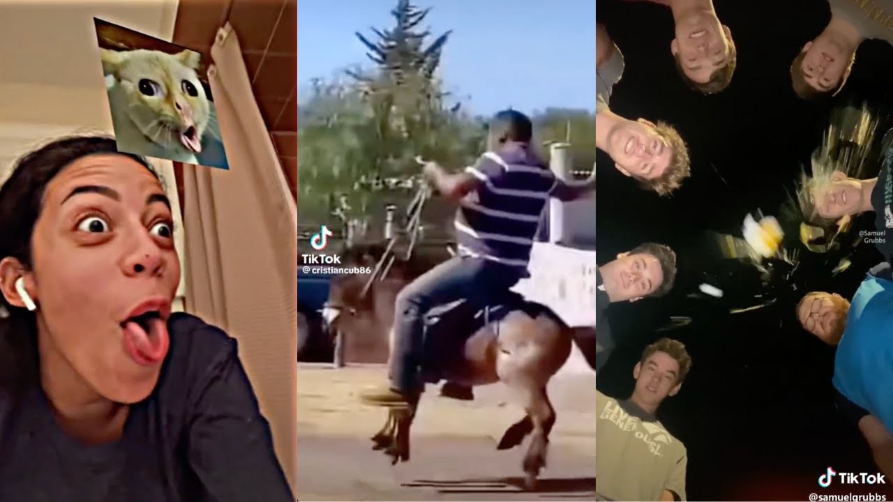 memes that completely made me lose faith in humanity compilation