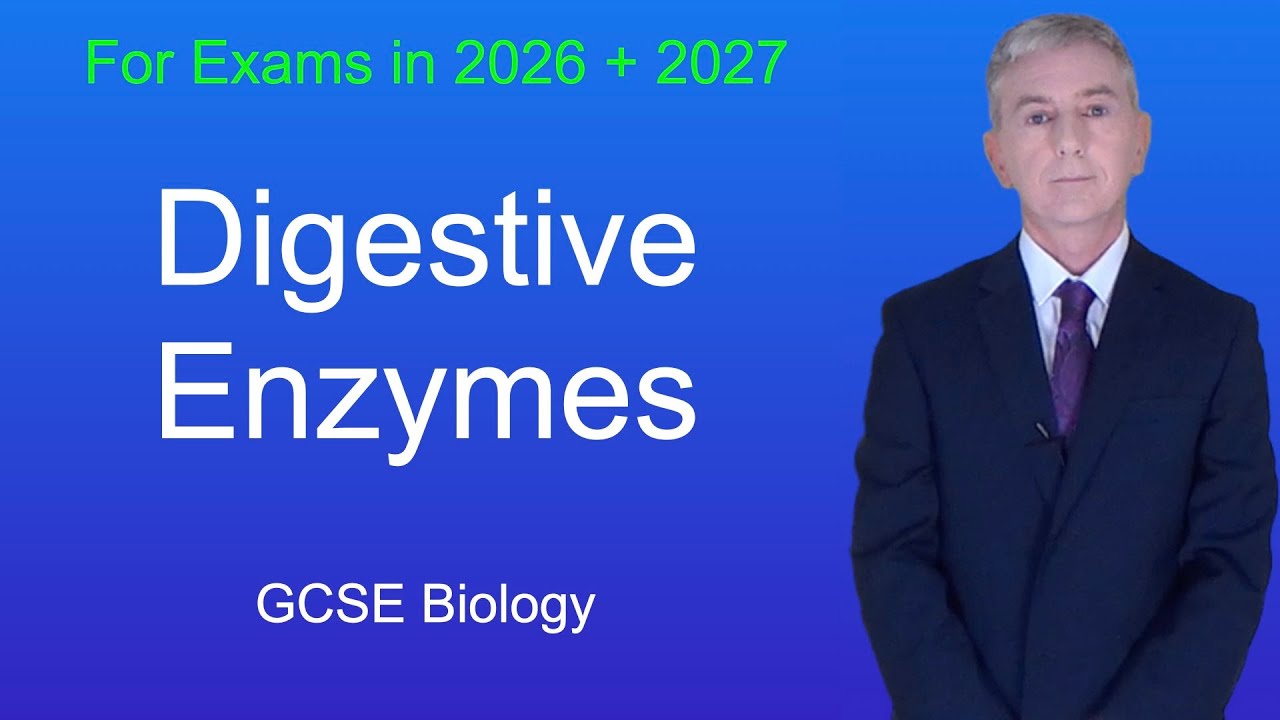 Повторение биологии GCSE &laquo;Пищеварительные ферменты&raquo;