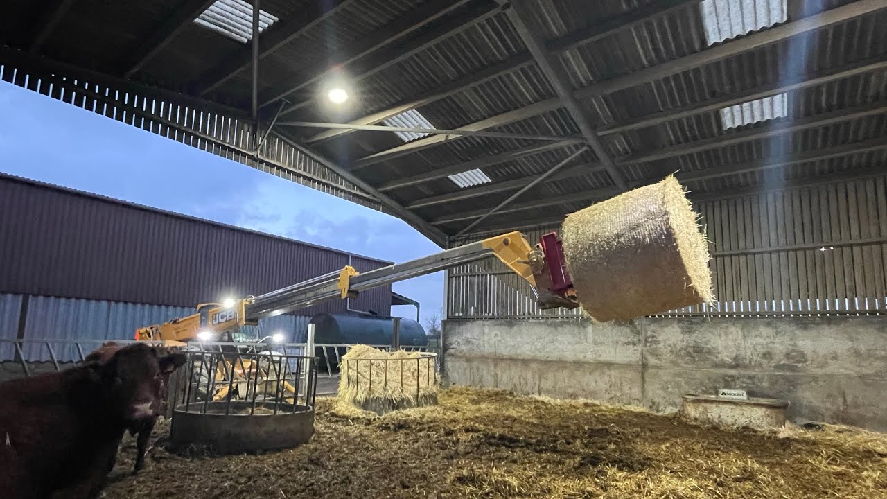 Машина для подстилки коров, разматыватель круглых тюков соломы #корова #jcb