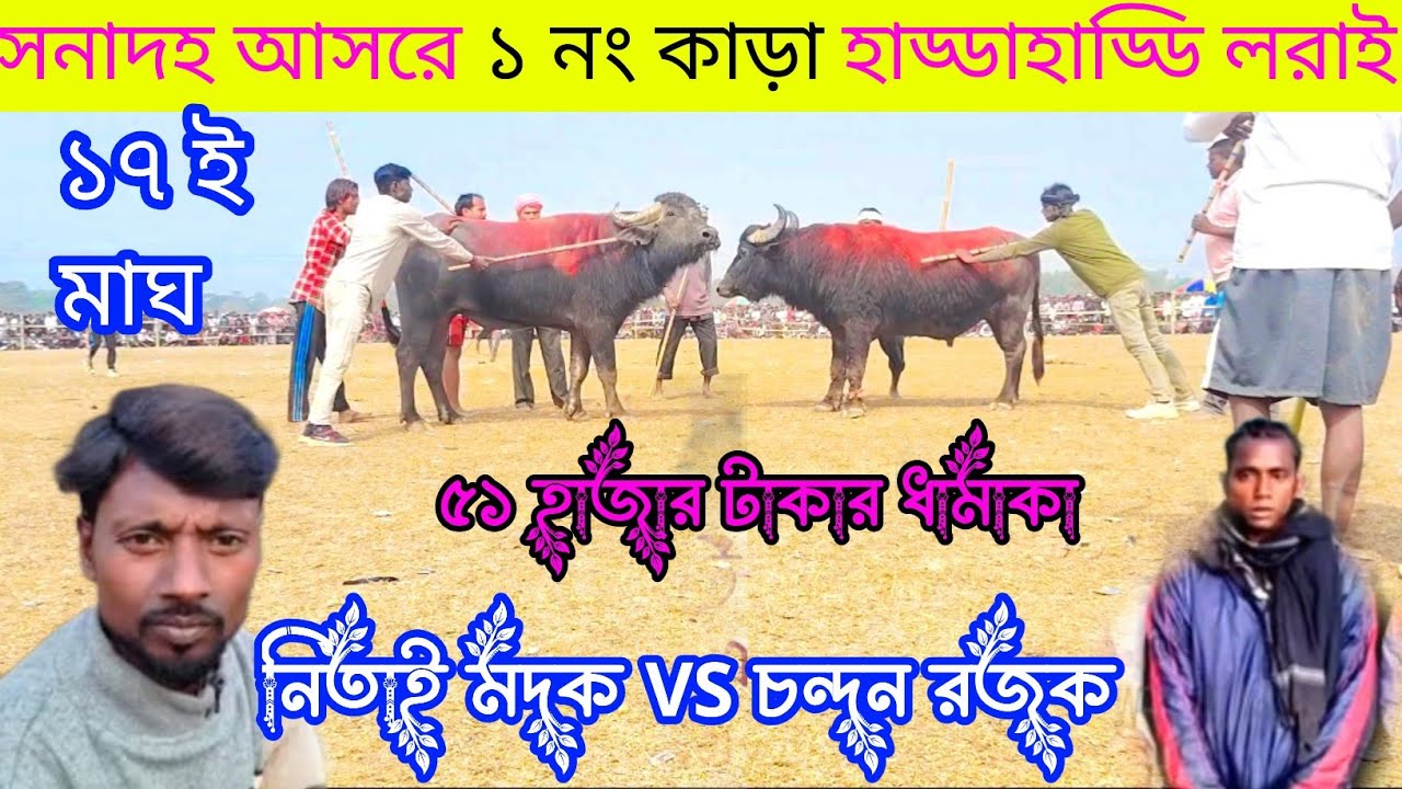 ১৭ ই মাঘ সনাদহ আসরে ১নং কাড়া খেলা আশুতোষ মাহাত VS চন্দন রজক 