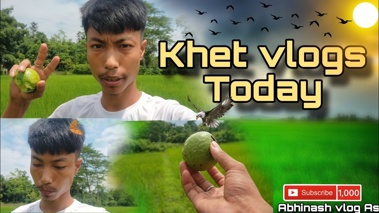 khet vlogs today || #kheti #kishn #youtubevideo #vairalvideo #2025