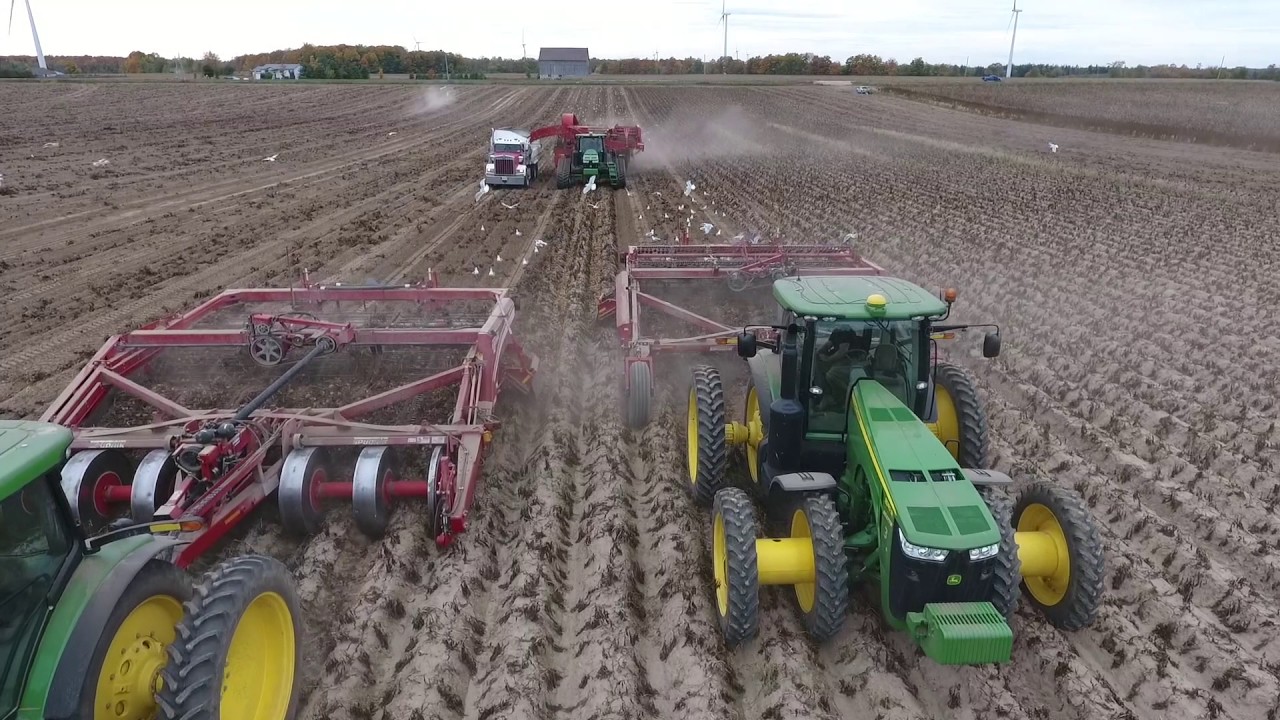 Fall 2016 Potato Harvest