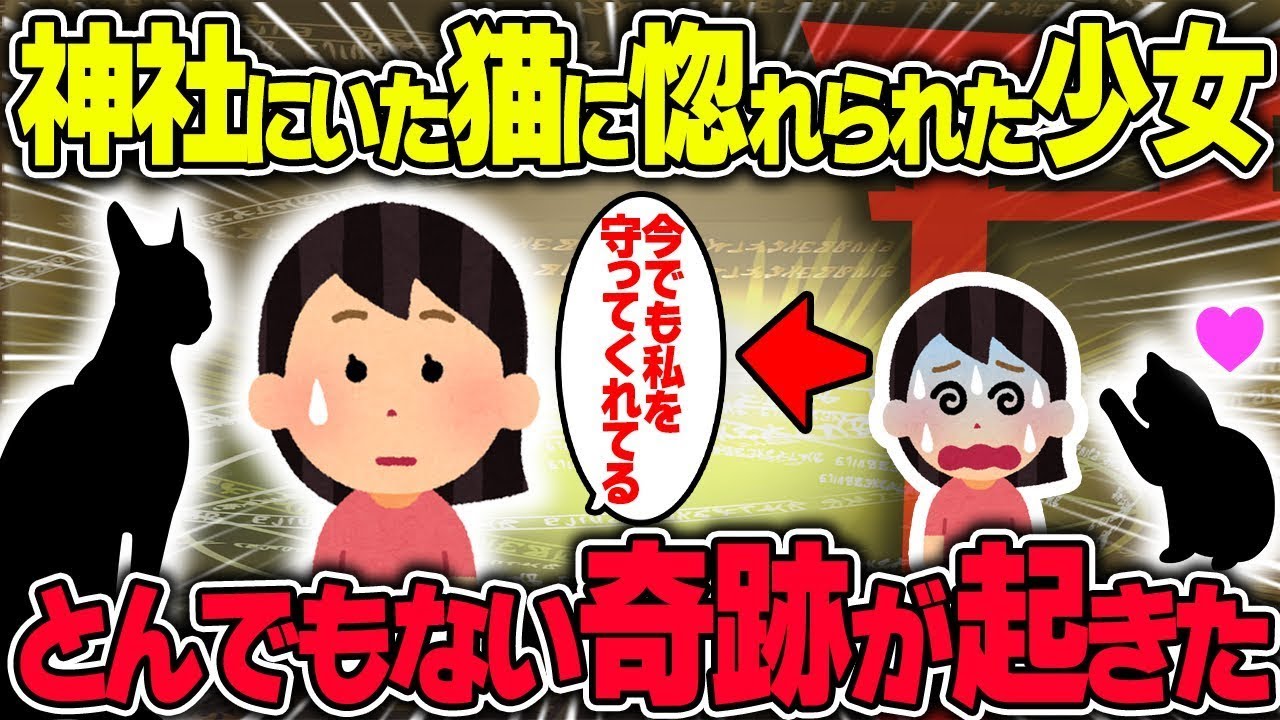 近所にいた猫に魅了された少女に訪れた驚くべき奇跡の物語。