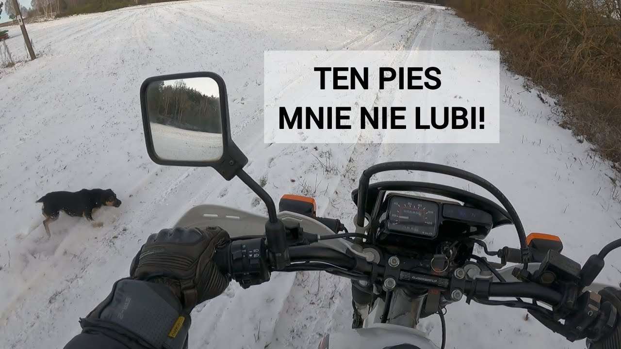 Zima 2026 - ten pies mnie nie lubi! cz. 4 | #motovlog 45