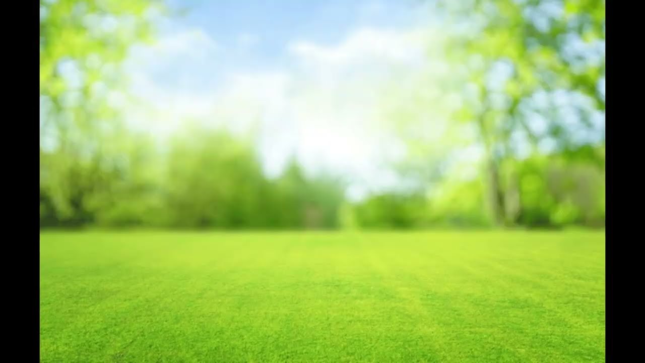 AgroConnect: Direct Farm-to-Family Marketplace | Django Web Application | Astana 2026