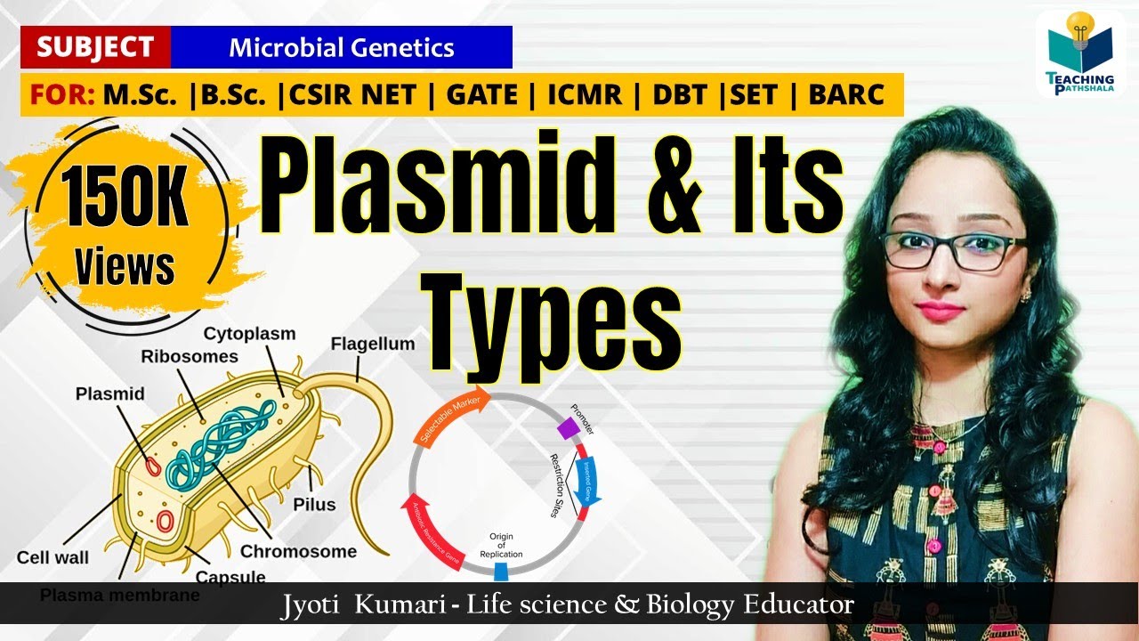 PLASMID || TYPE OF PLASMIDS || CSIR NET| GATE | M.Sc. | B.Sc| (Microbial genetics)
