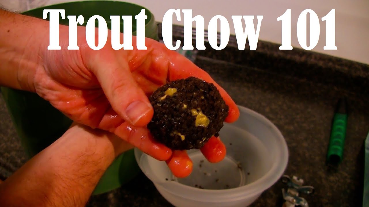 Trout Chow Packbait Tutorial step by step for carp fishing & Underwater Test