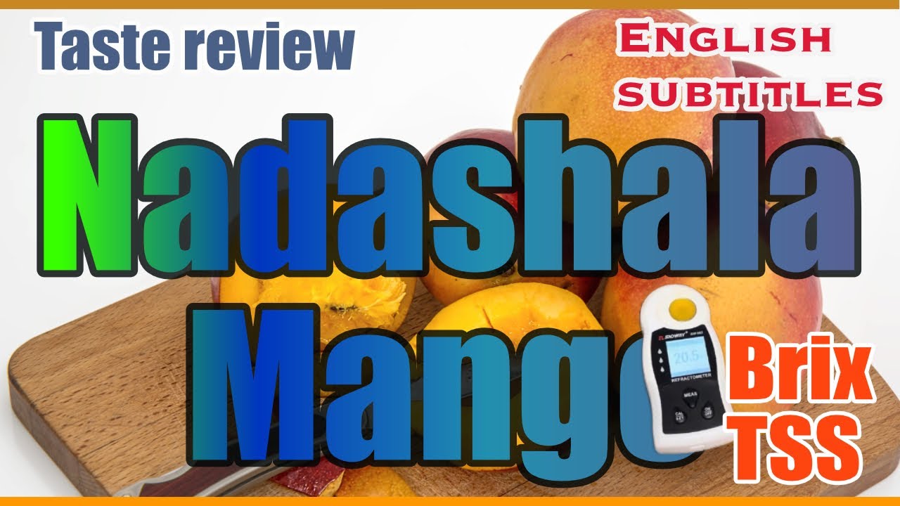 EP-13 നടശ്ശാല മാമ്പഴത്തിന്റെ രുചിയും മധുരവും Nadashala / Pairi /Raspuri taste review TSS BRIX