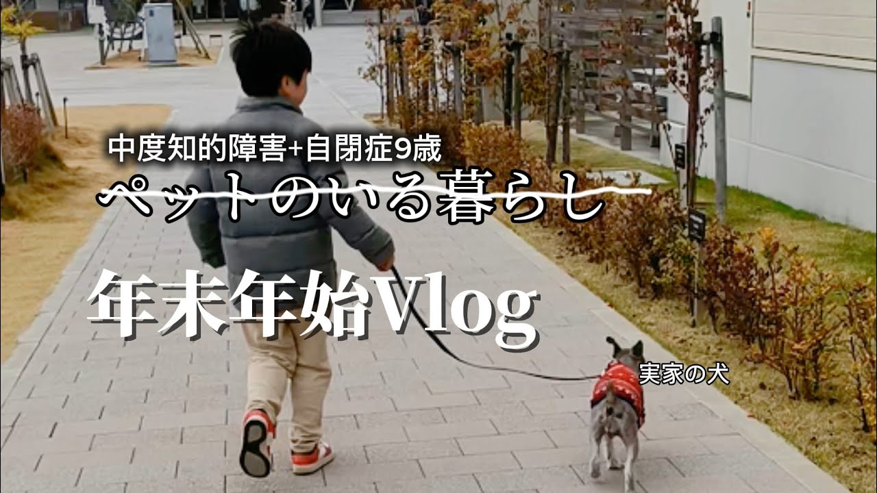 自閉症児と母実家|癇癪群発するもなんだかんだ楽しかった？長崎帰省Vlog