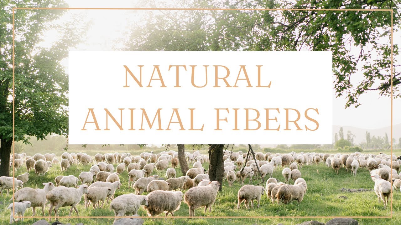 What Are Animal Fibers? - Untwisted Threads