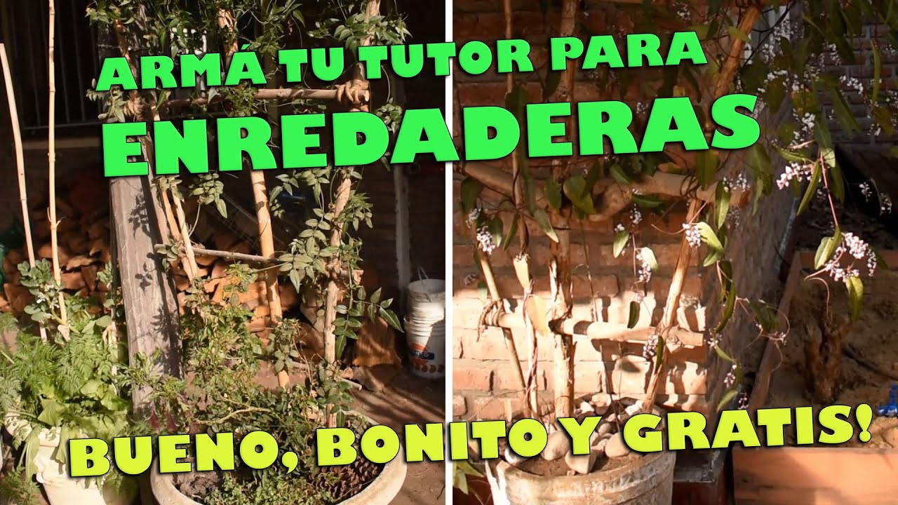 COMO ARMAR UN SOPORTE DECORATIVO PARA ENREDADERAS.