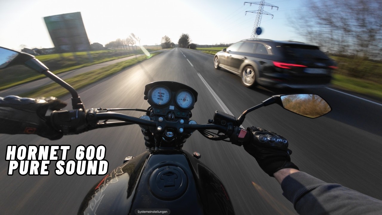 Hornet 600 POV Ride - PURE SOUND
