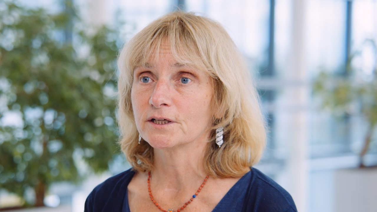 Anne Ephrussi, Former Director  of the EMBL International Centre for Advanced Training