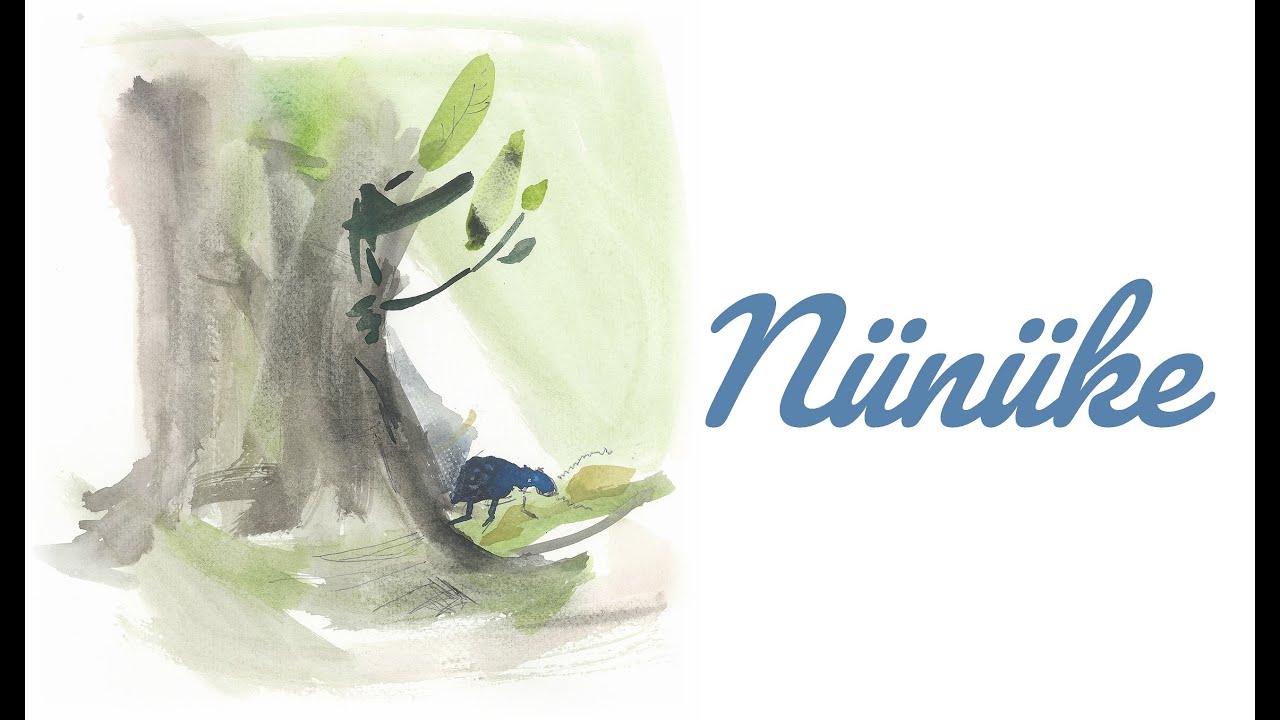 Drazs&eacute; zenekar // N&uuml;n&uuml;ke