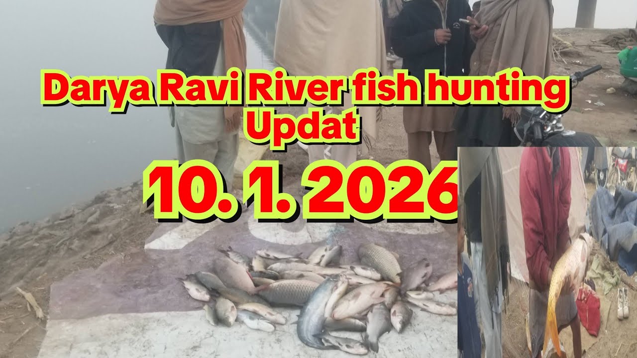 Darya Ravi River new fish hunting Updat vlog 