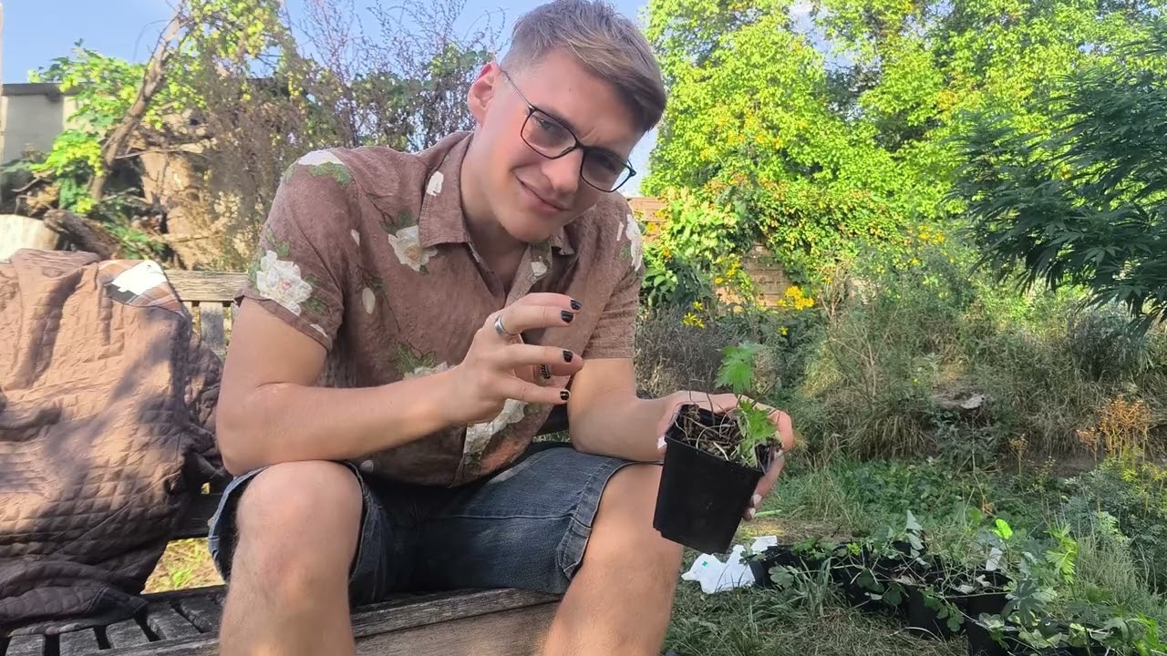 Pflanzen Unboxing #01 I Meine Traumpflanzen ziehen in meinen Garten!