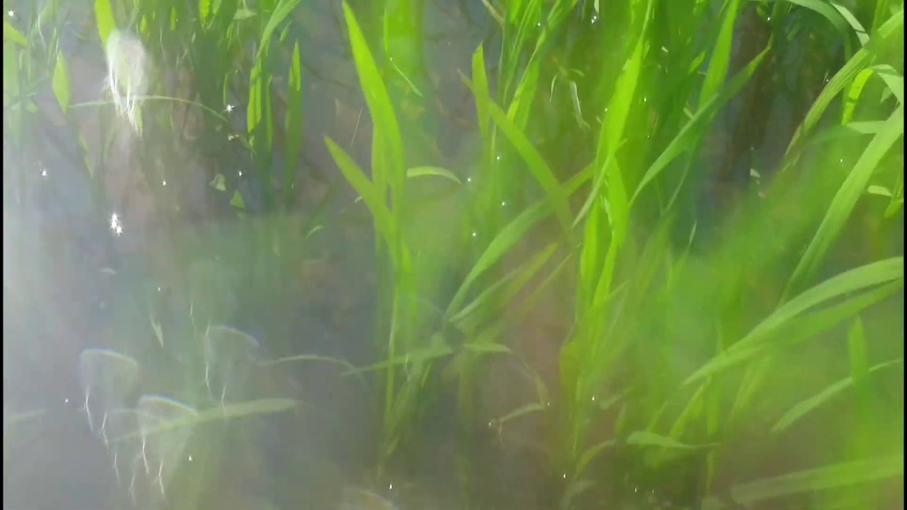 Farewell 🎵 KineMaster Music | Music for relax #YTALS0006