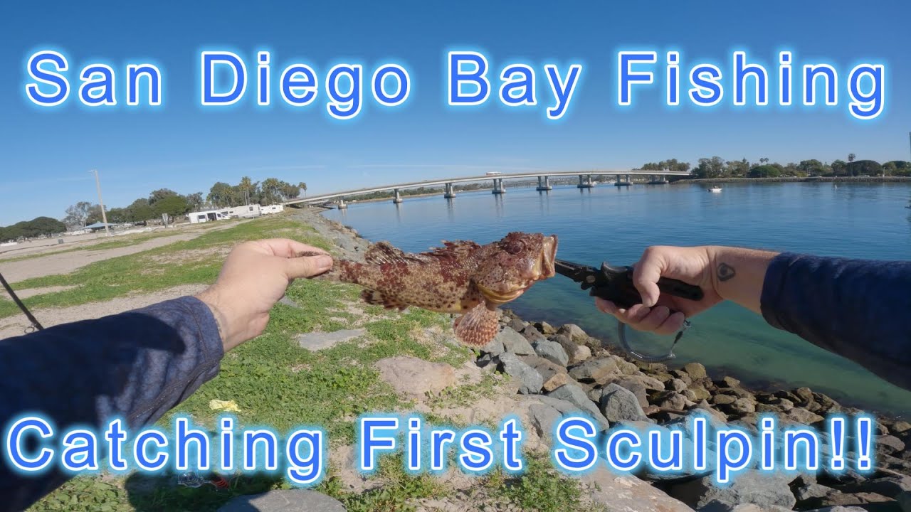 San Diego Mission Bay Fishing (Catching a Sculpin!)