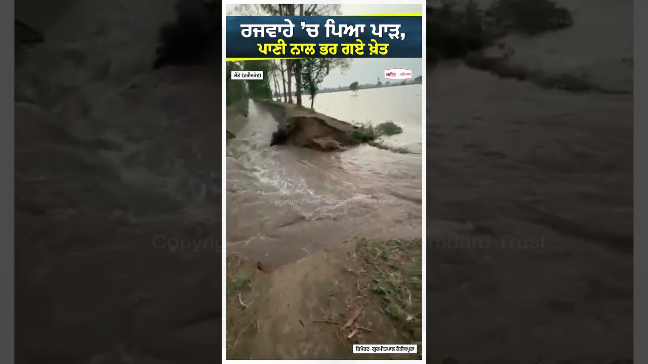 Faridkot News | ਰਜਵਾਹੇ &rsquo;ਚ ਪਿਆ ਪਾੜ, ਪਾਣੀ ਨਾਲ ਭਰ ਗਏ ਖ਼ੇਤ