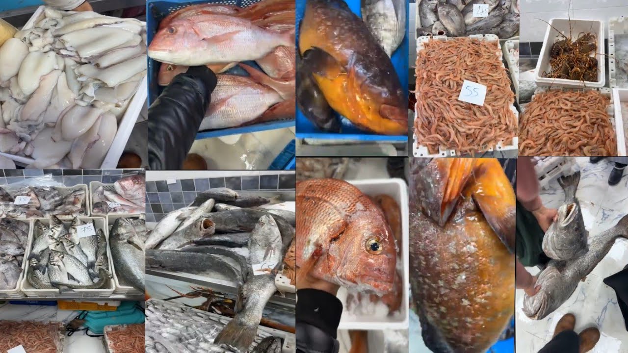 ثمن السمك بالمغرب🐠🦐اليوم الثلاثاء 24 فبراير 2026#المغرب🇲🇦#سوق_المغربPoisson de qualité à prix abord