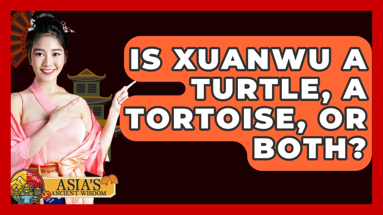 Is Xuanwu A Turtle, A Tortoise, Or Both? - Asia's Ancient Wisdom