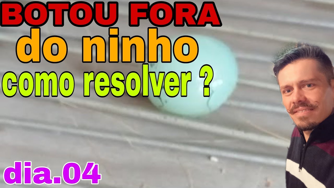 Trinca Ferro A Fema Botou No Chao Sem Gala