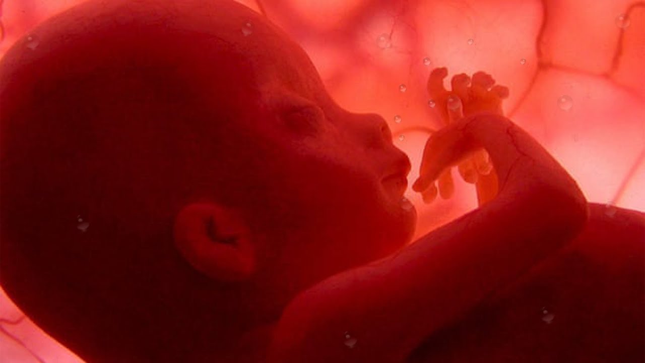 🎵🎵Pregnancy music for baby brain development ♥ Soothing, relaxing and peaceful🎵🎵