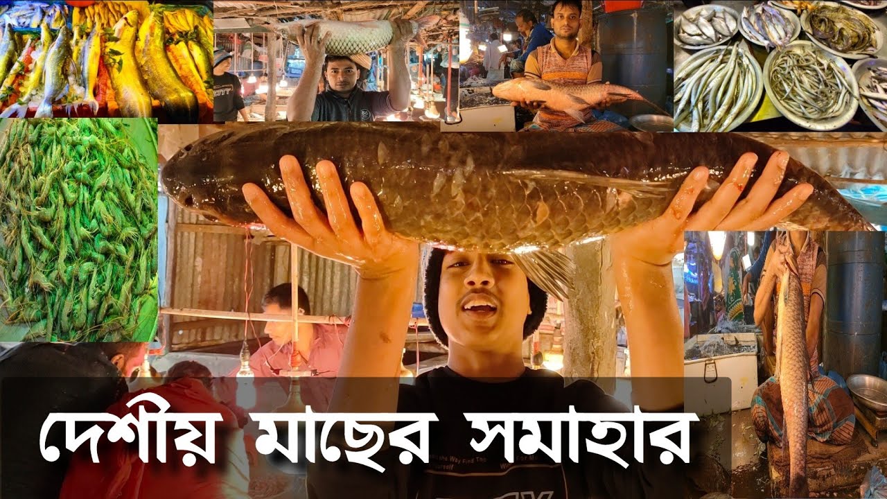 Famous Local Fish Market Board Bazar gazipur Bangladesh|Deshi Fish  Market|Biggest Fish|Deshi Mass||