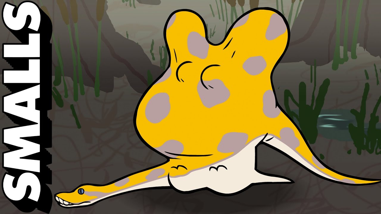 Bogged Down: What's Eating Sid Beatty? | adult swim smalls