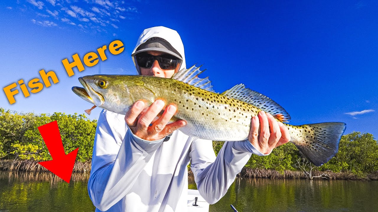Hunting Trophy Trout & Redfish in Mosquito Lagoon | Hells Bay Eldora