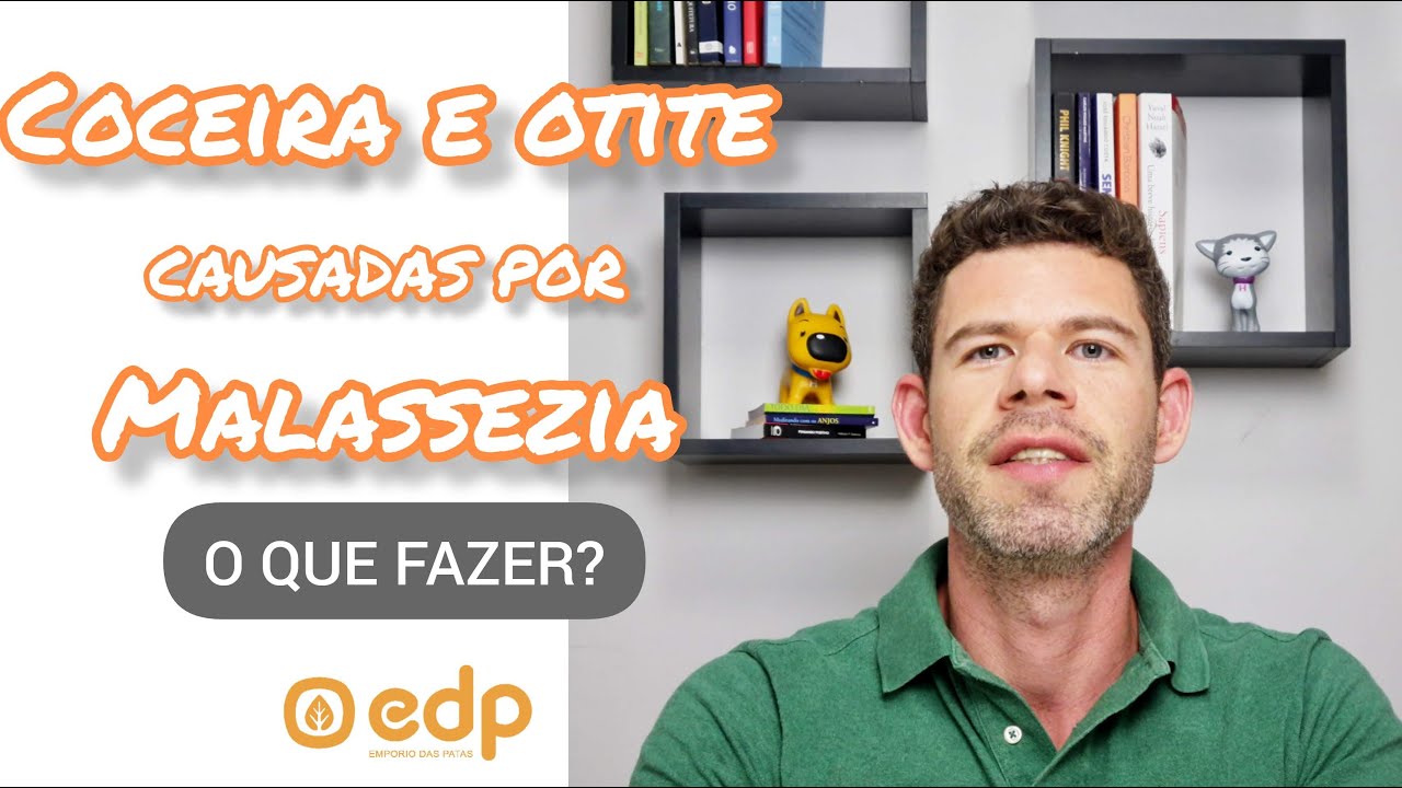 79 | CACHORRO COM FUNGO MALASSEZIA, COCEIRA, ALERGIA, DOR DE OUVIDO - O QUE FAZER?!