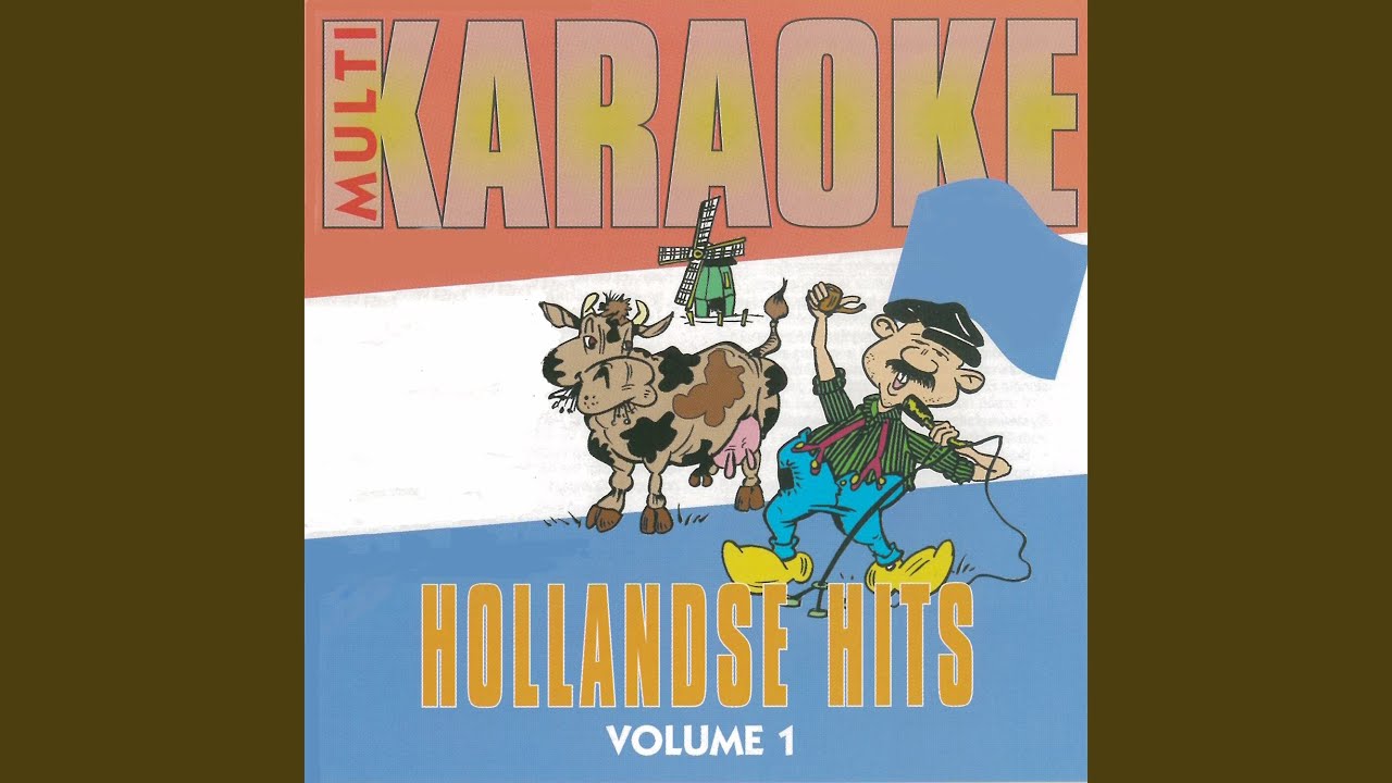 De Regenboog (Karaoke Version)