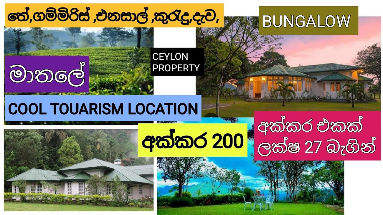 NO,,622 # අක්කර 200 ක් සුපිරි බංගලාවක් ,තේ ,ගම්මිරිස් ,කුරැදු ,පොල් ,එනසාල් පලතුරු වගාවන්,සින්නක්කර