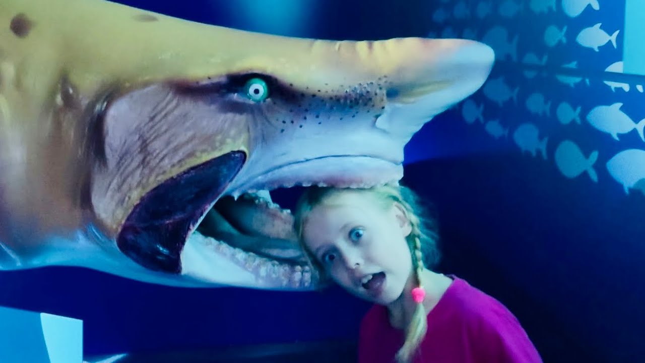 Encuentro con los tiburones en Oceanografic