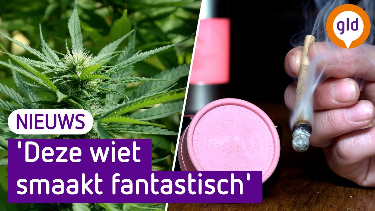 Coffeeshops stappen volledig over op legaal geteelde wiet
