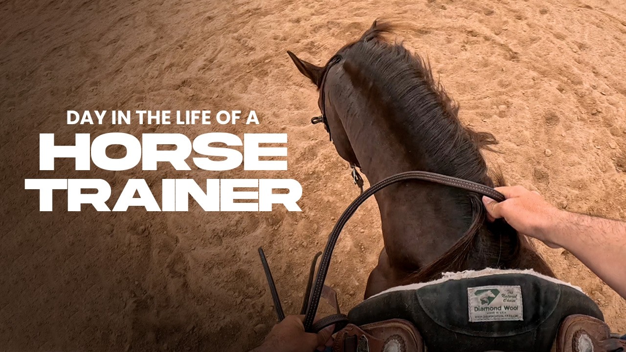 Day in the Life of a Horse Trainer | Training, Show Prep & Nutrition