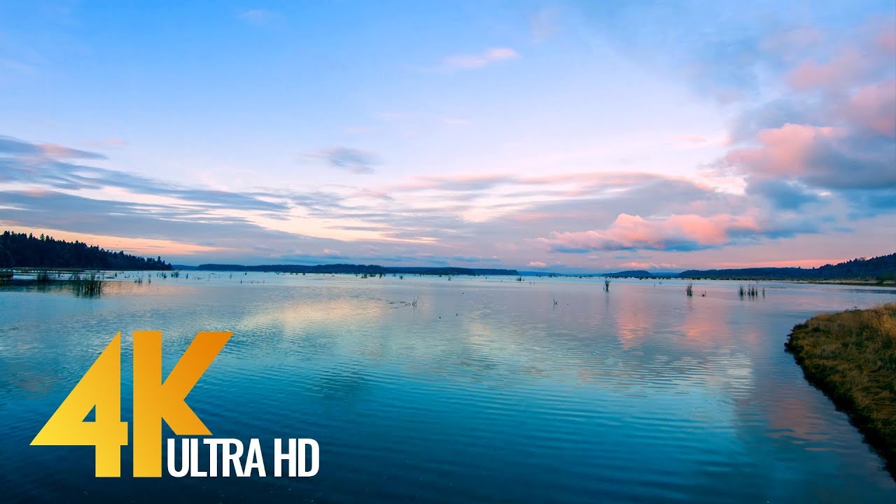 4K Short Preview-Nisqually National Wildlife Refuge, Washington State