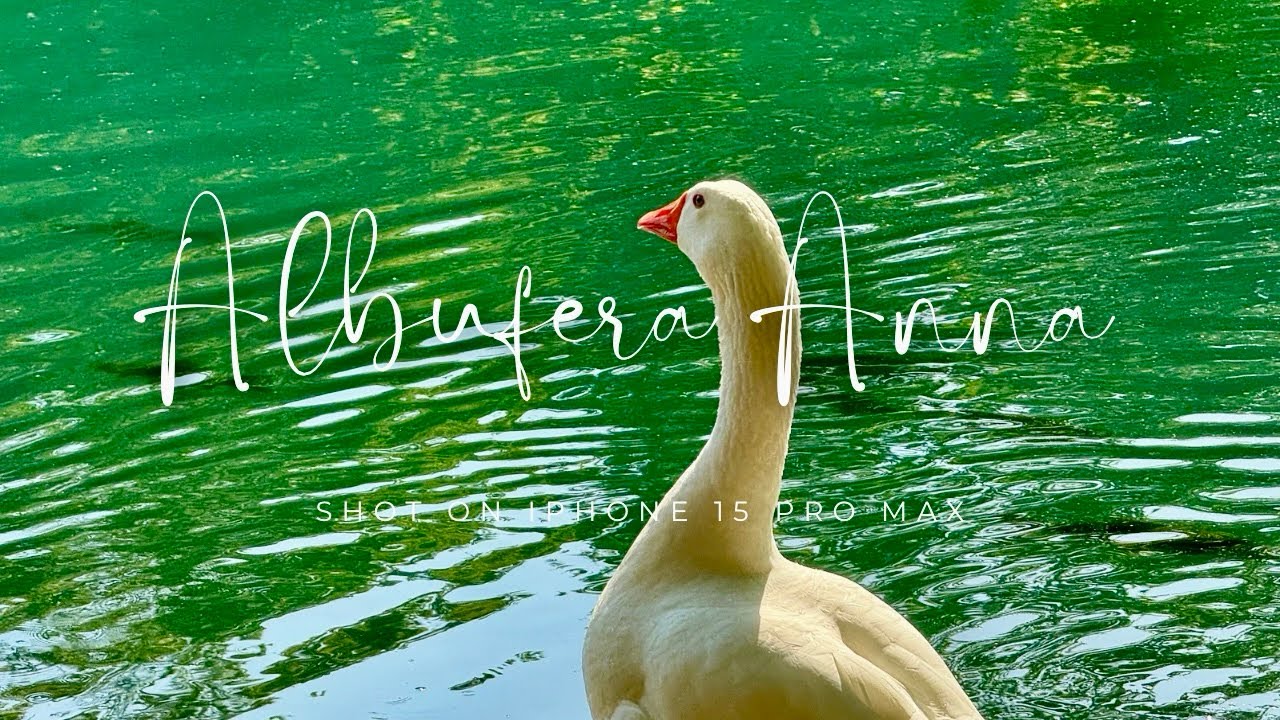 Nature THERAPY ALBUFERA DE ANNA | Valencia SPAIN