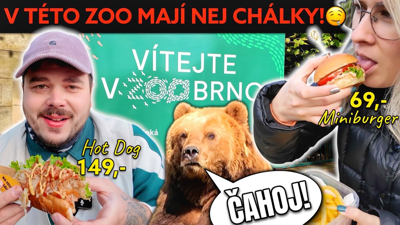 ZOO BRNO - DOBRÉ CHÁLKY A ZVÍŘATA FAJNE!👍🏻