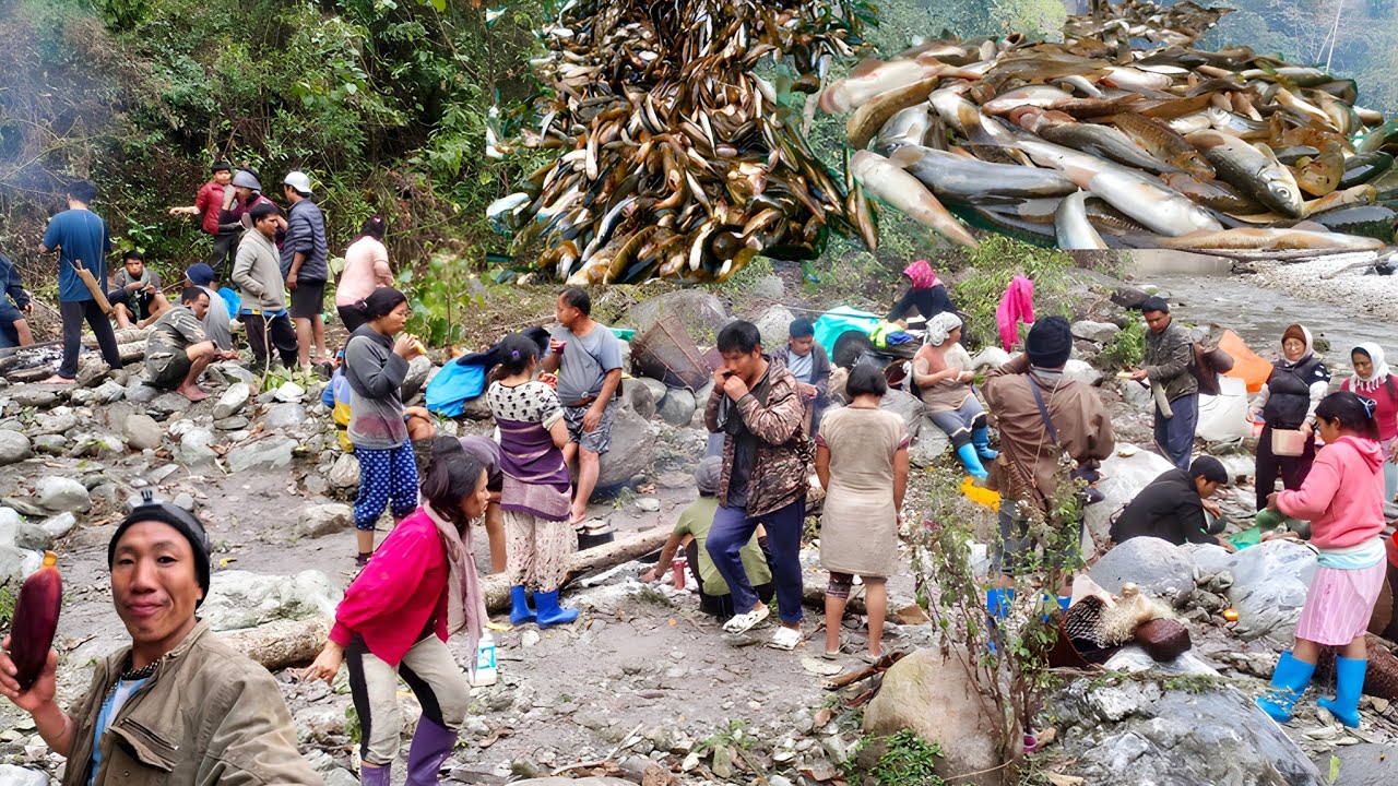 Group fishing Arunachal Pradesh || @Ajin Sitek Village Life Vlog