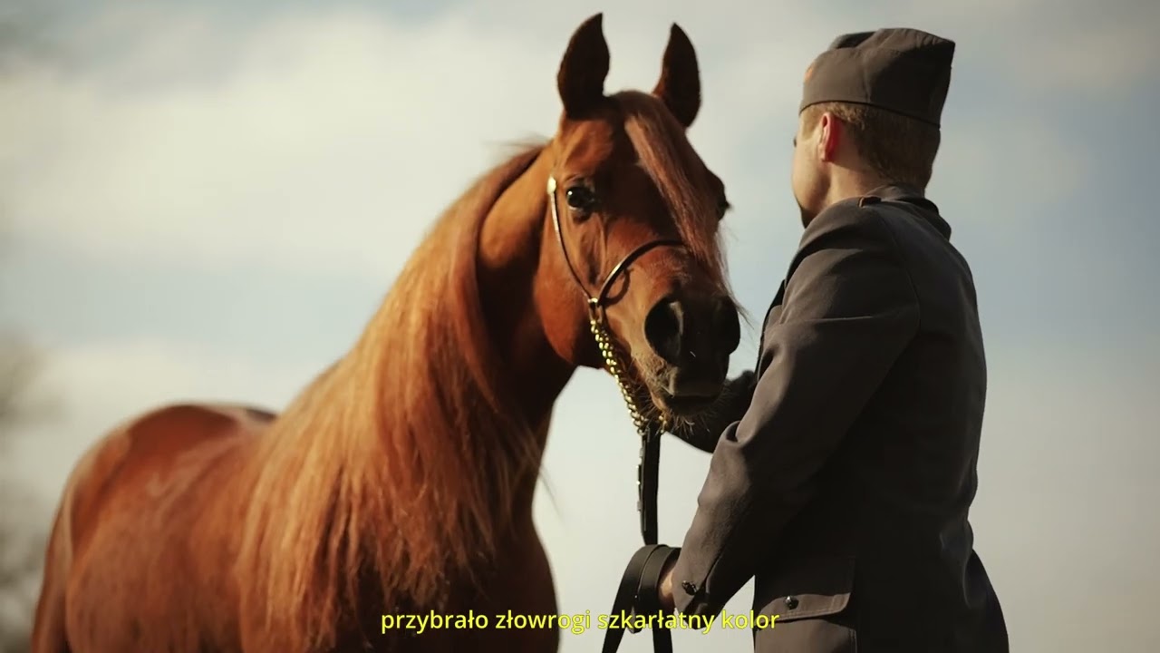 Stadnina Koni w Janowie Podlaskim