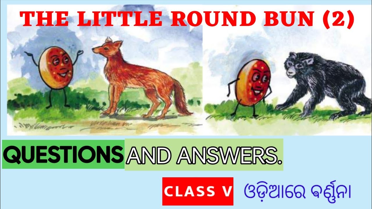The little round bun part 2 all questions and answers class 5 odia medium.